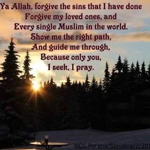 Meet your Posher, Jamila